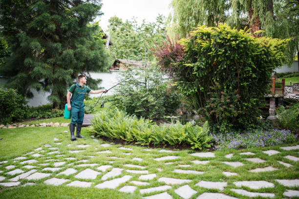 Best Ant Control Services  in Tonkawa, OK