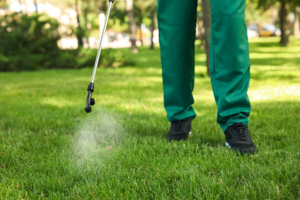 Best Affordable Pest Control Services  in Tonkawa, OK