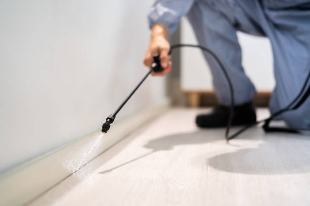 Best Flea Control Services  in Tonkawa, OK