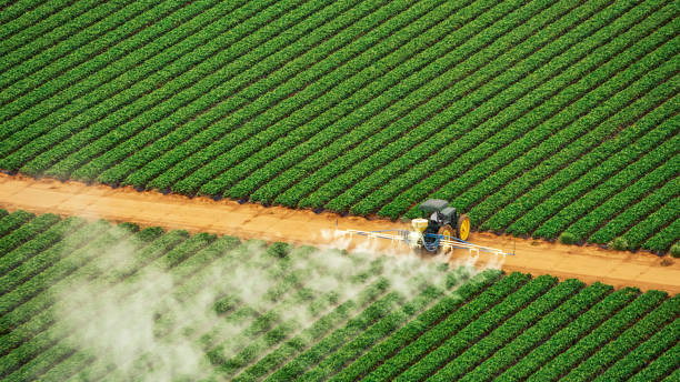 Best Local Pest Control Services  in Tonkawa, OK
