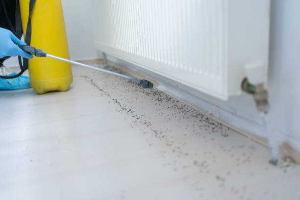 Best Pest Control Near Me  in Tonkawa, OK